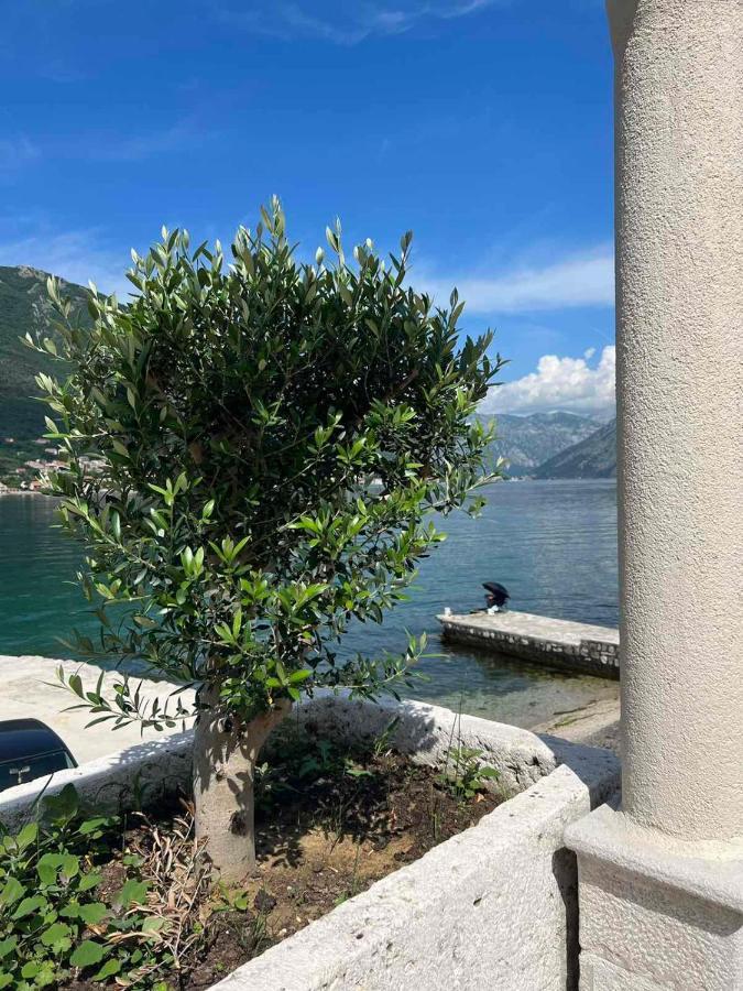 Apartmán Sea Front 171 Kotor Exteriér fotografie